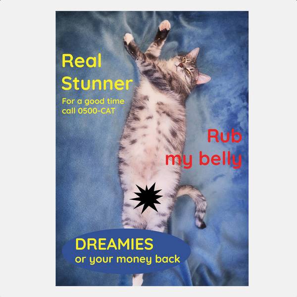 Image of Real Stunner Greeting Card