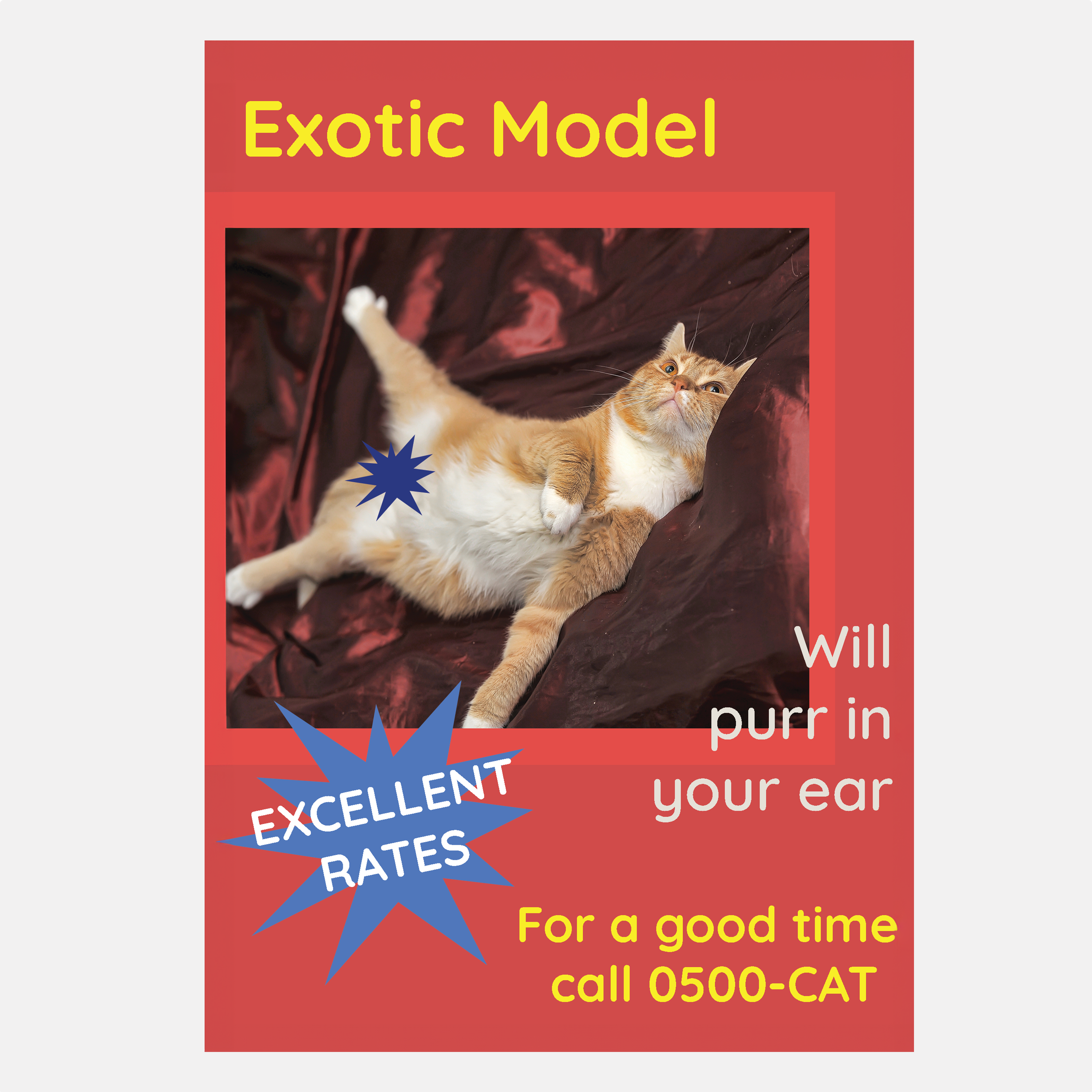 Image of Exotic Model Greeting Card