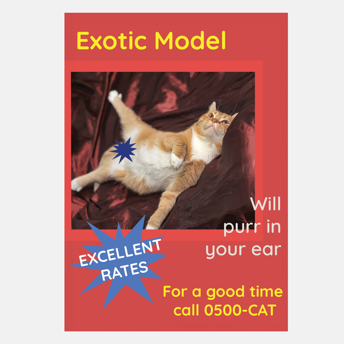 general cat card exotic model