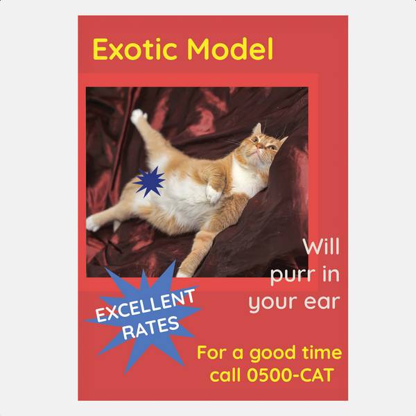 Image of Exotic Model Greeting Card