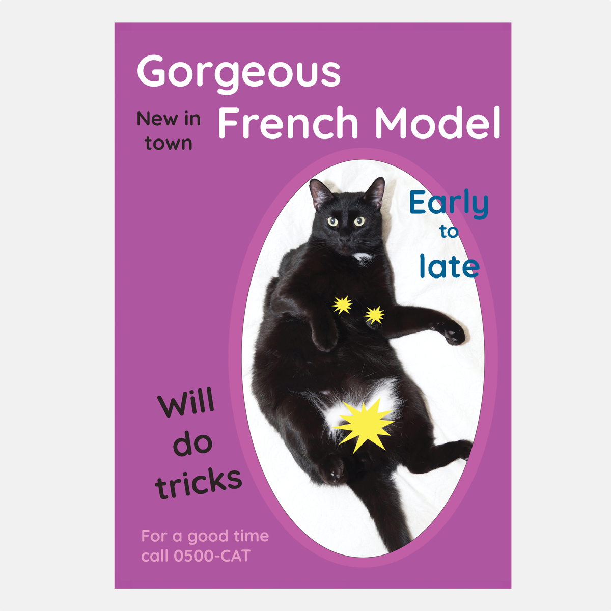 general cat card gorgeous french model