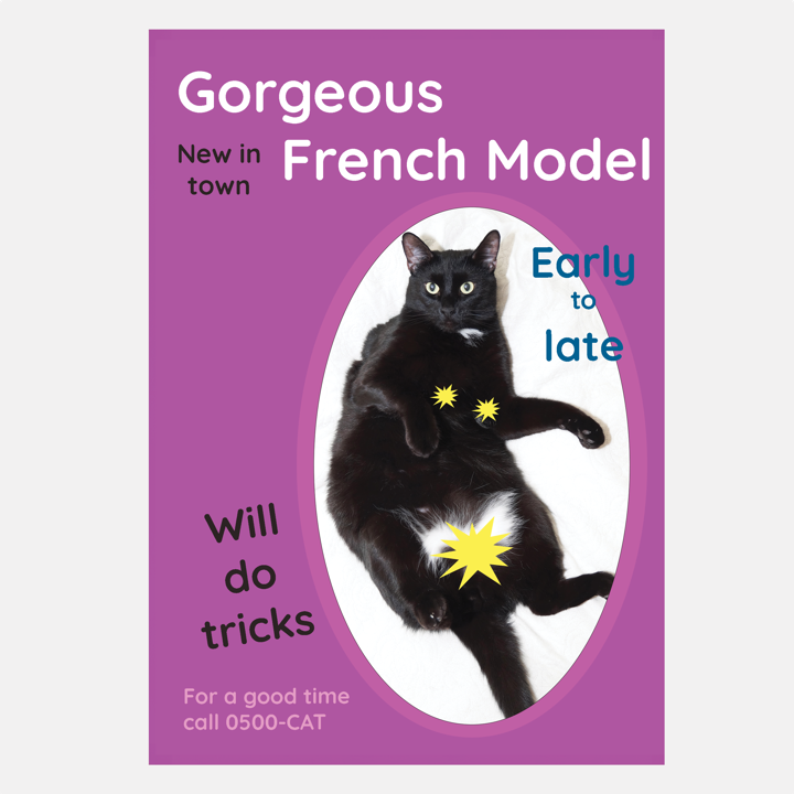 French Model Greeting Card