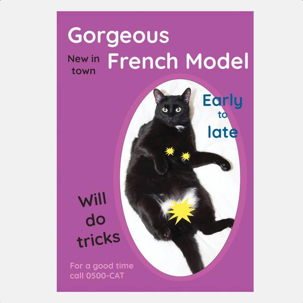 Image of French Model Greeting Card