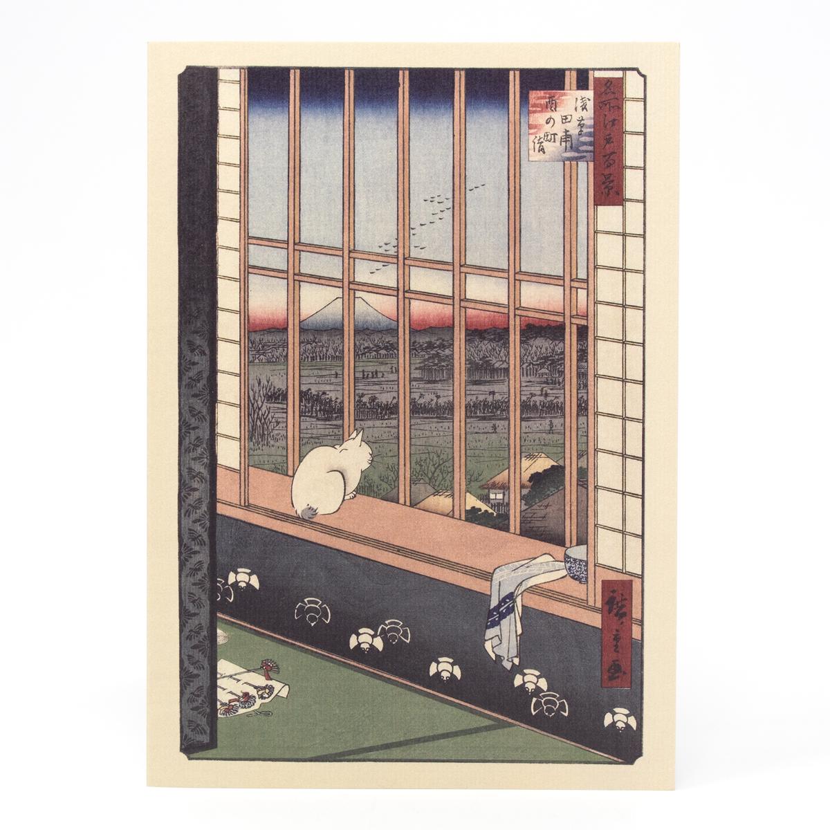 foundland card cat at window