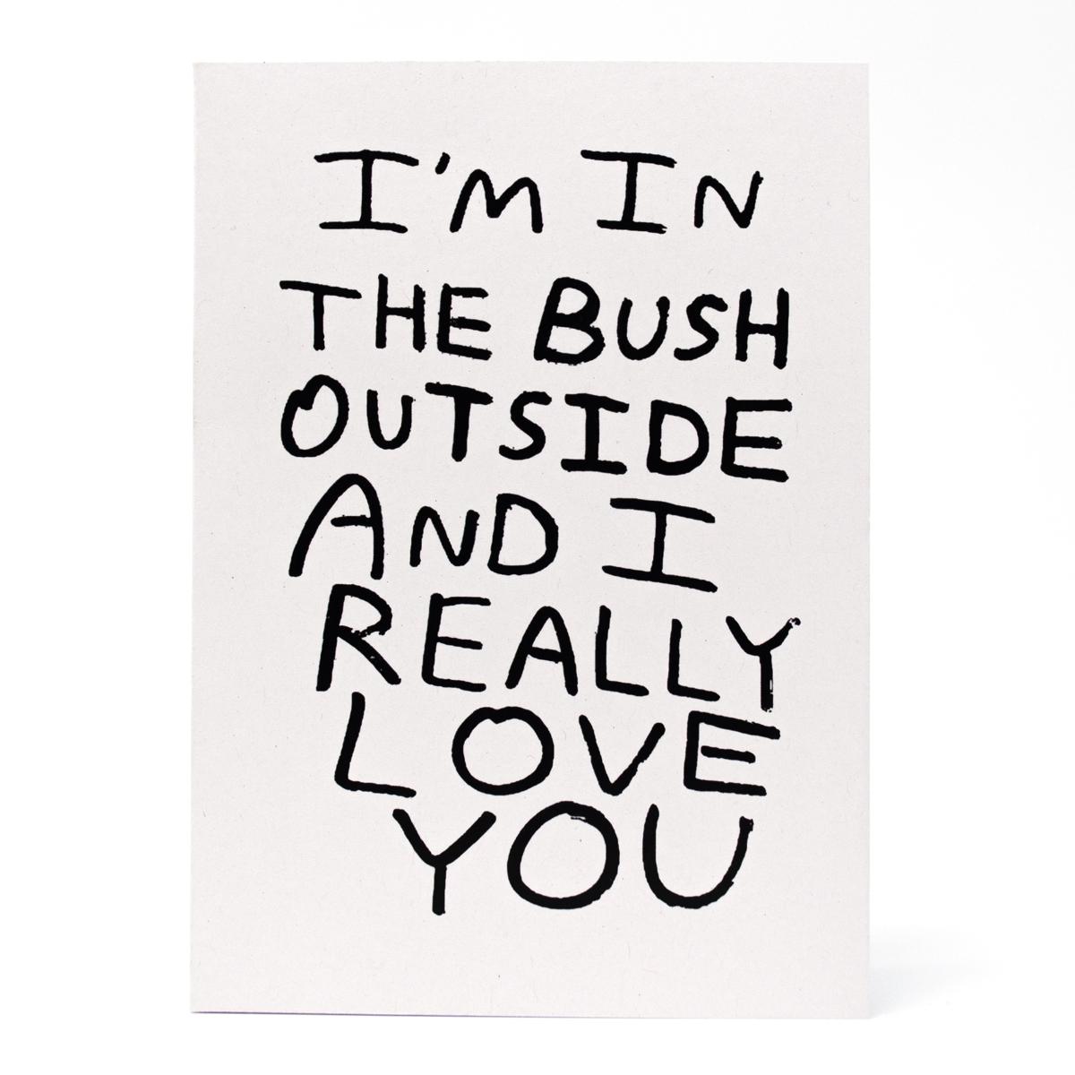 babak bush outside