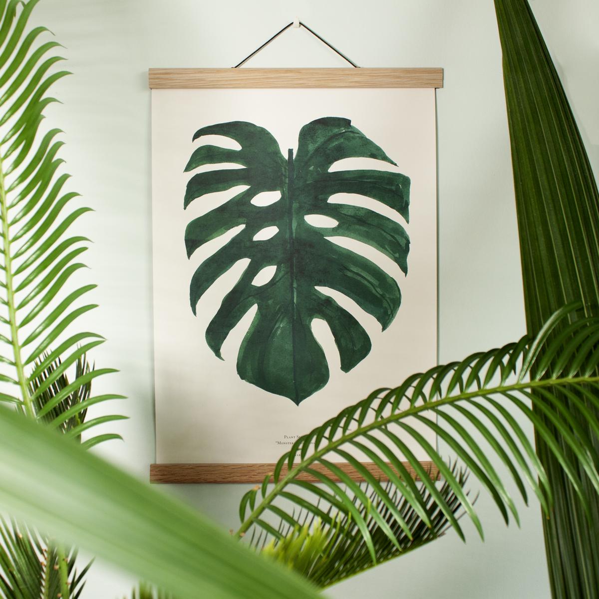 cheeseplant print post