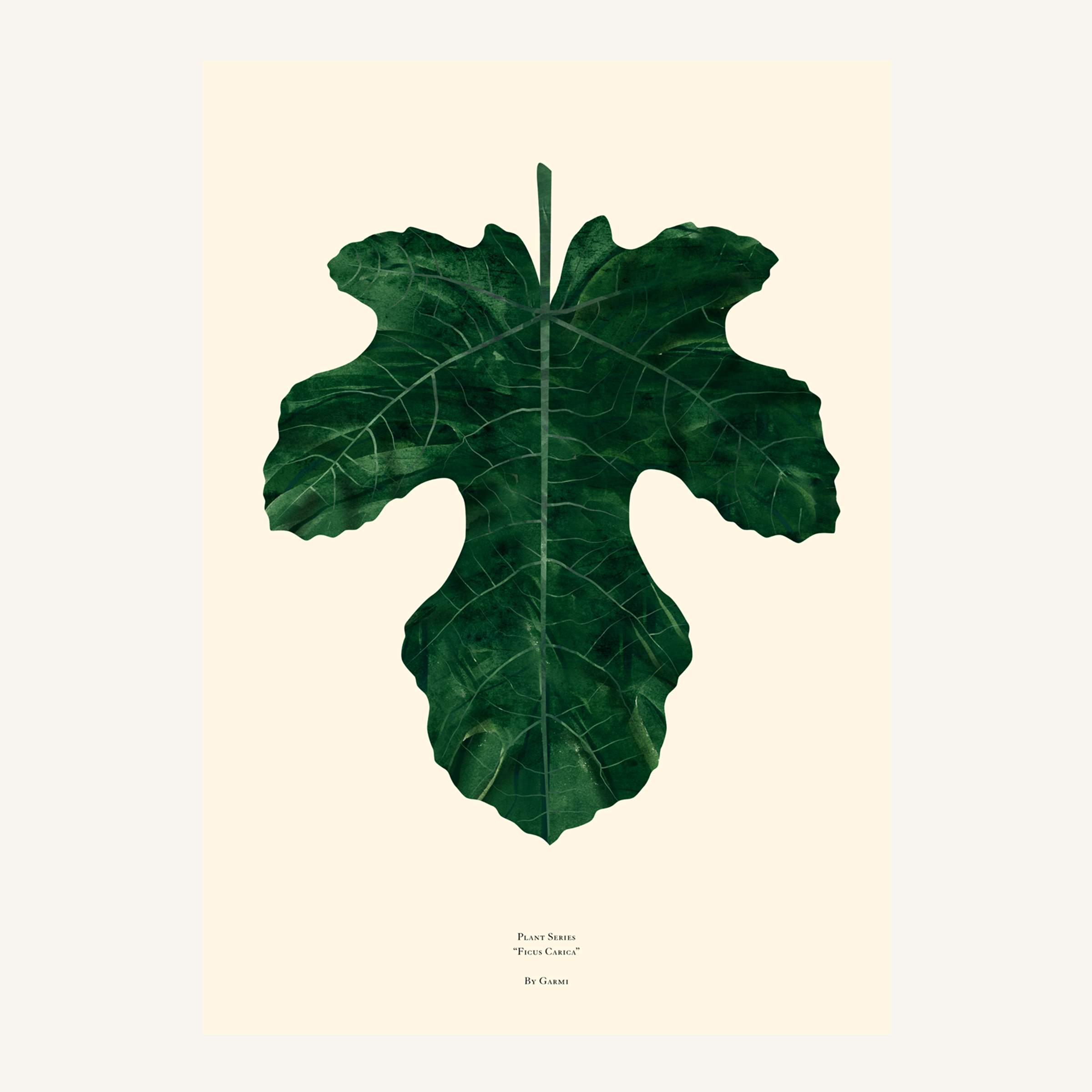 ficus carica