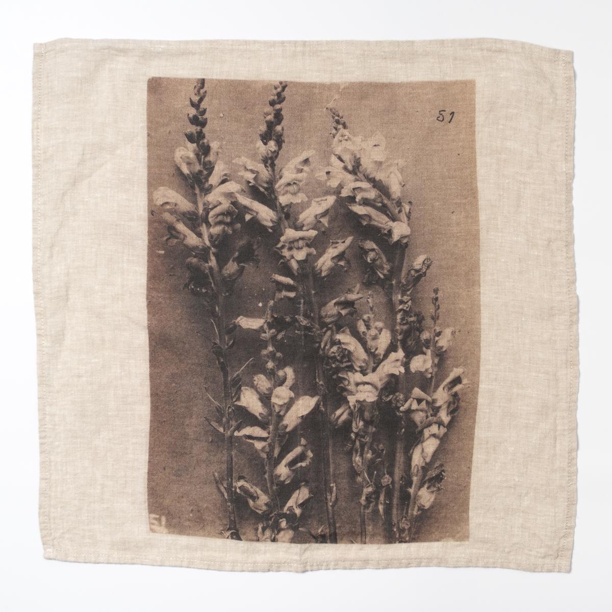serie limitee louise flower napkin