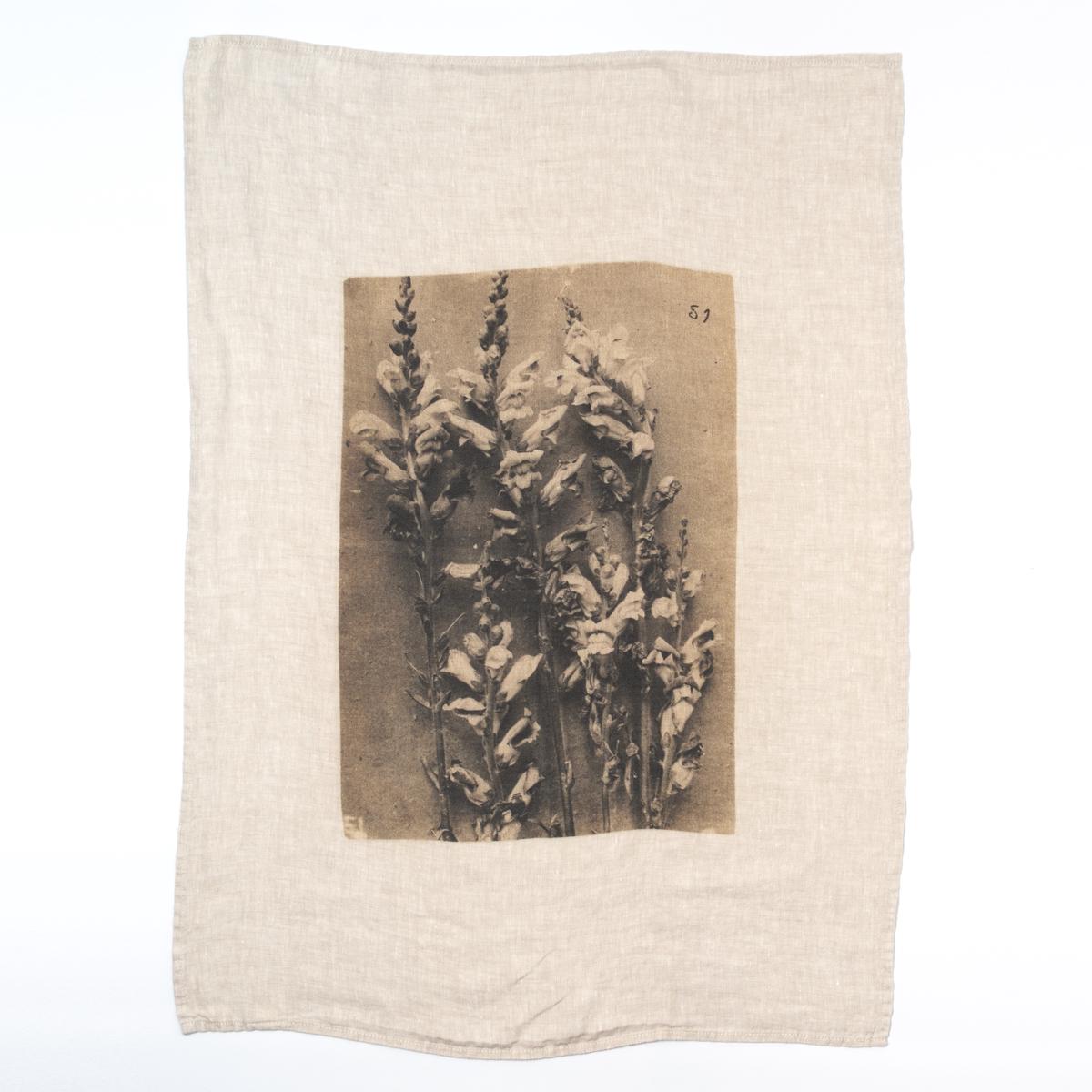 serie limitee louise plant dishcloth