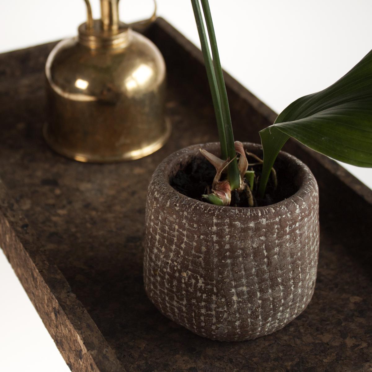 cork container long plant