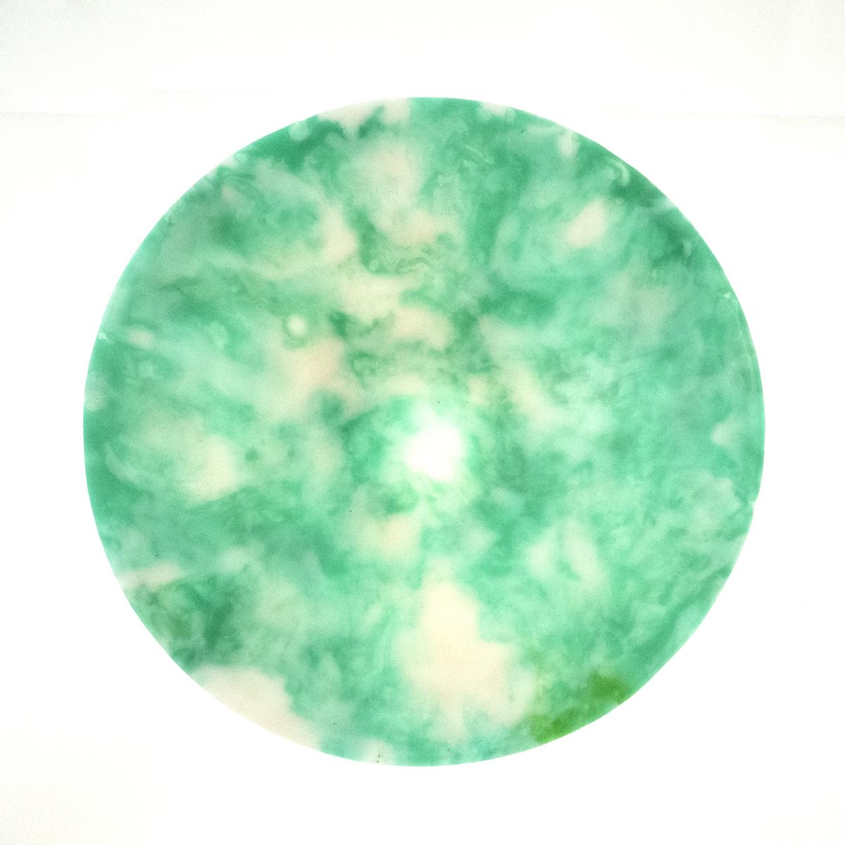 green plastic dish top