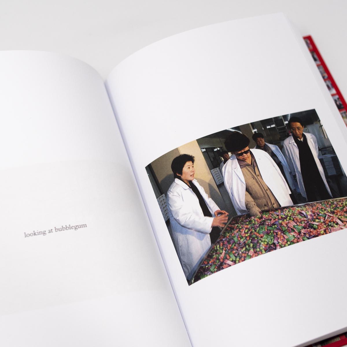 antennae books kim jong il looking at things page 1