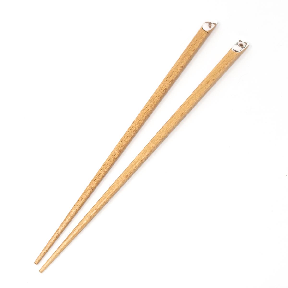 general cat chopsticks tortie