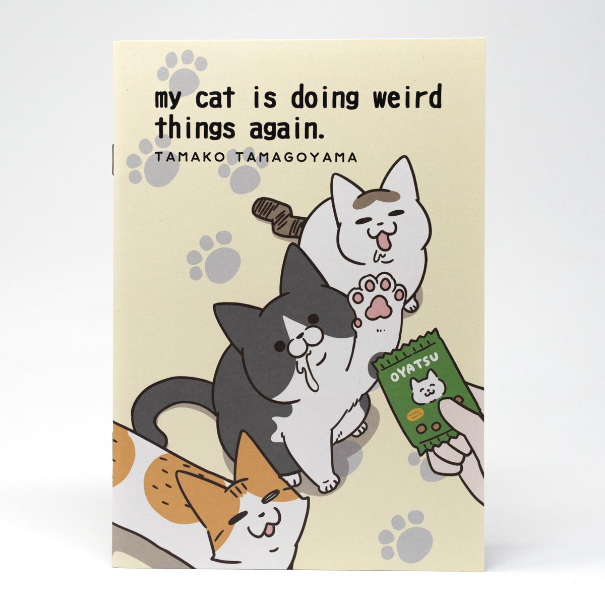 general my cat is doing weird things notebook 2