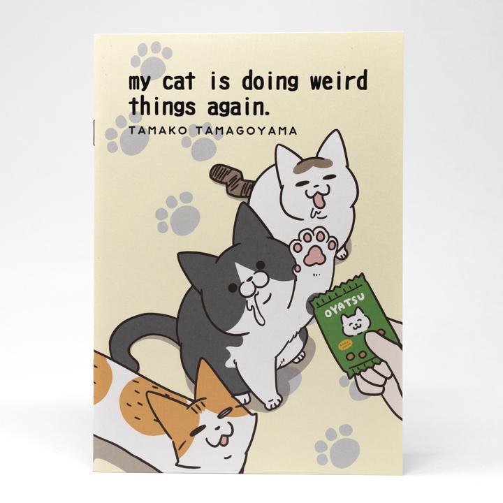 general my cat is doing weird things notebook 2