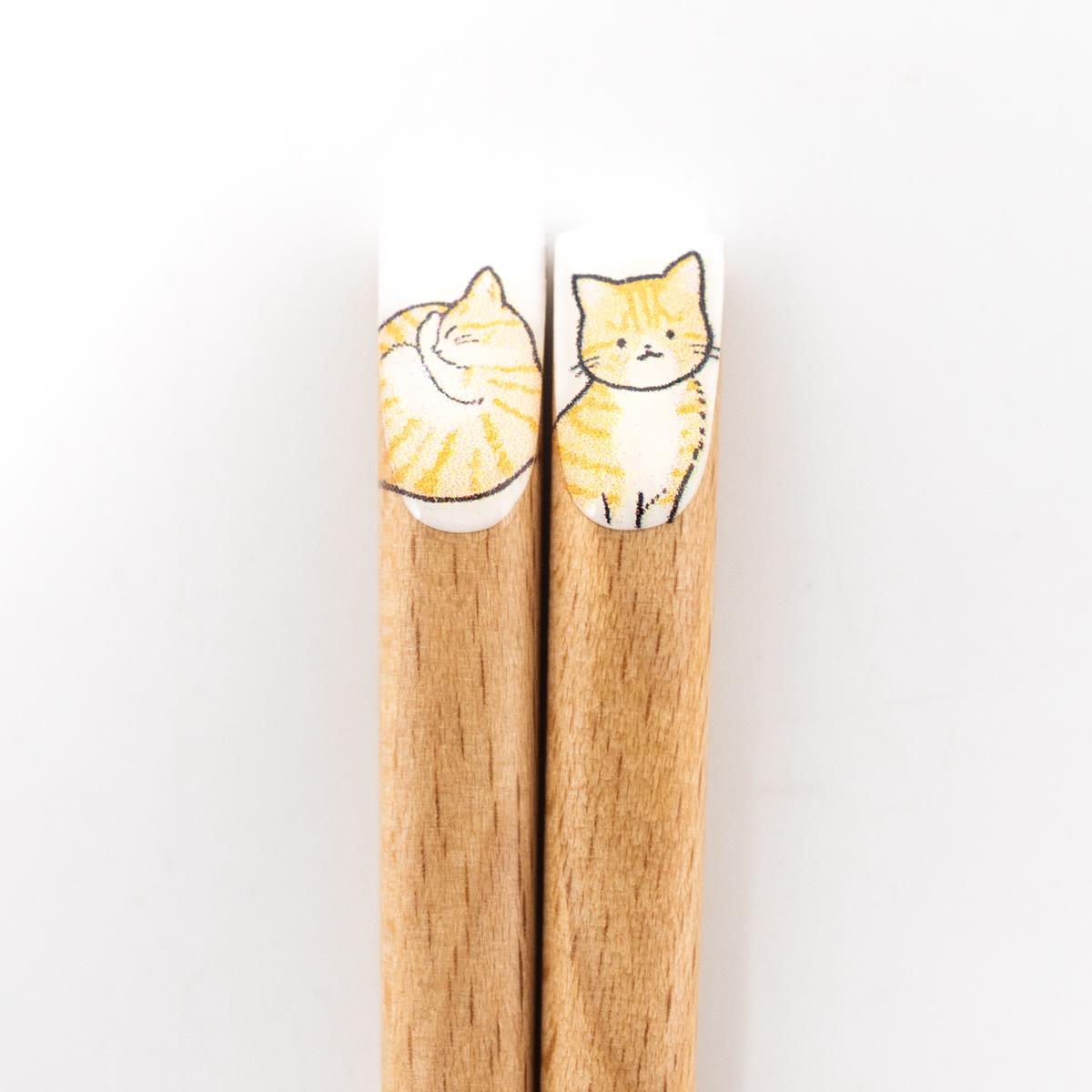 general cat chopsticks mackeral tabby closeup