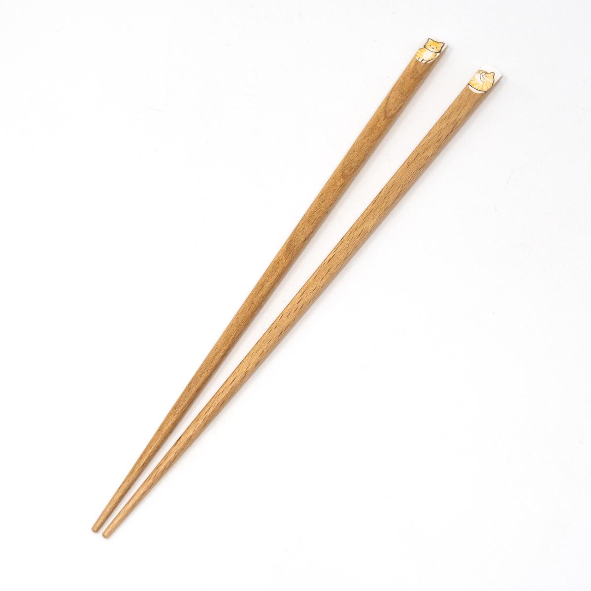 general cat chopsticks mackeral tabby
