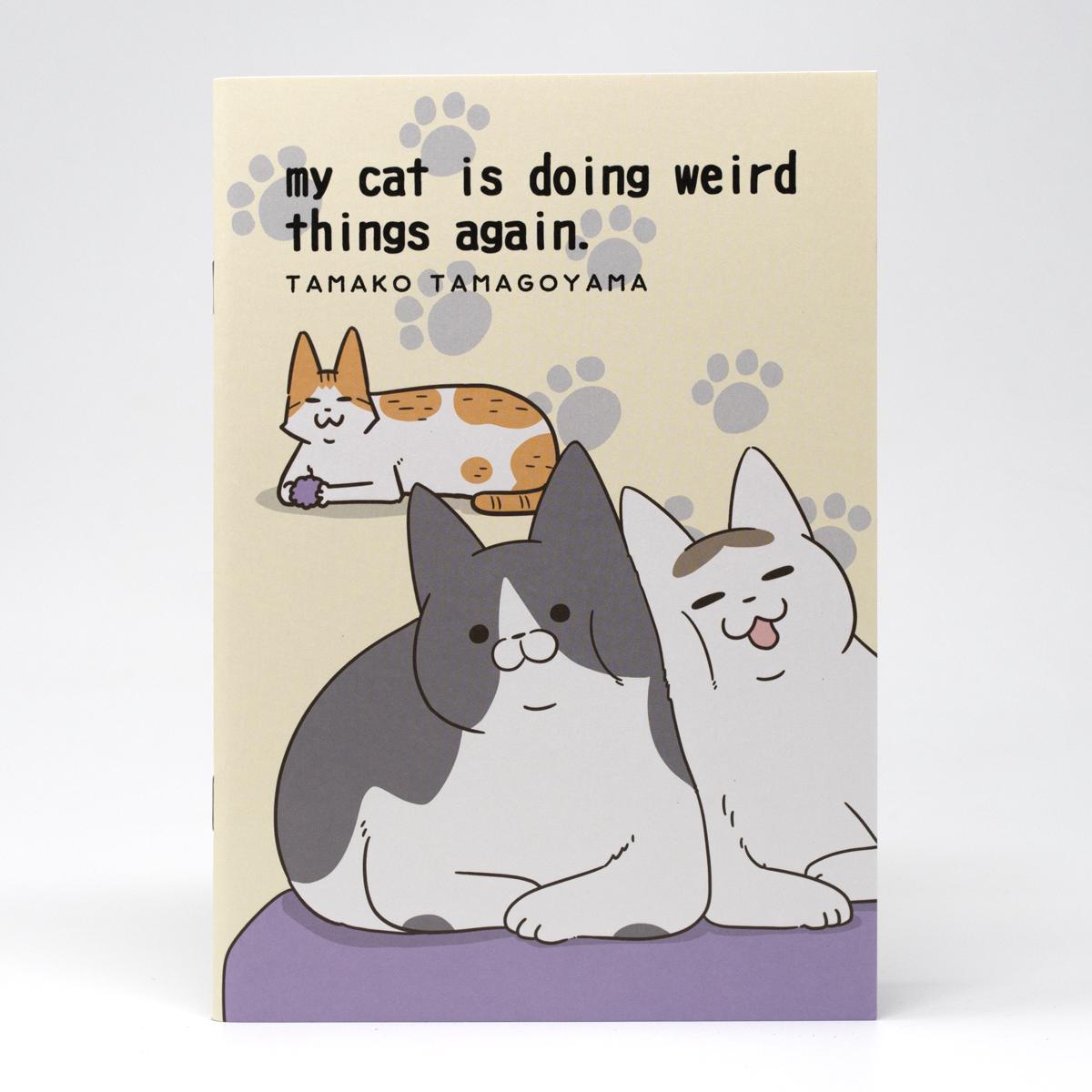general my cat is doing weird things notebook 1