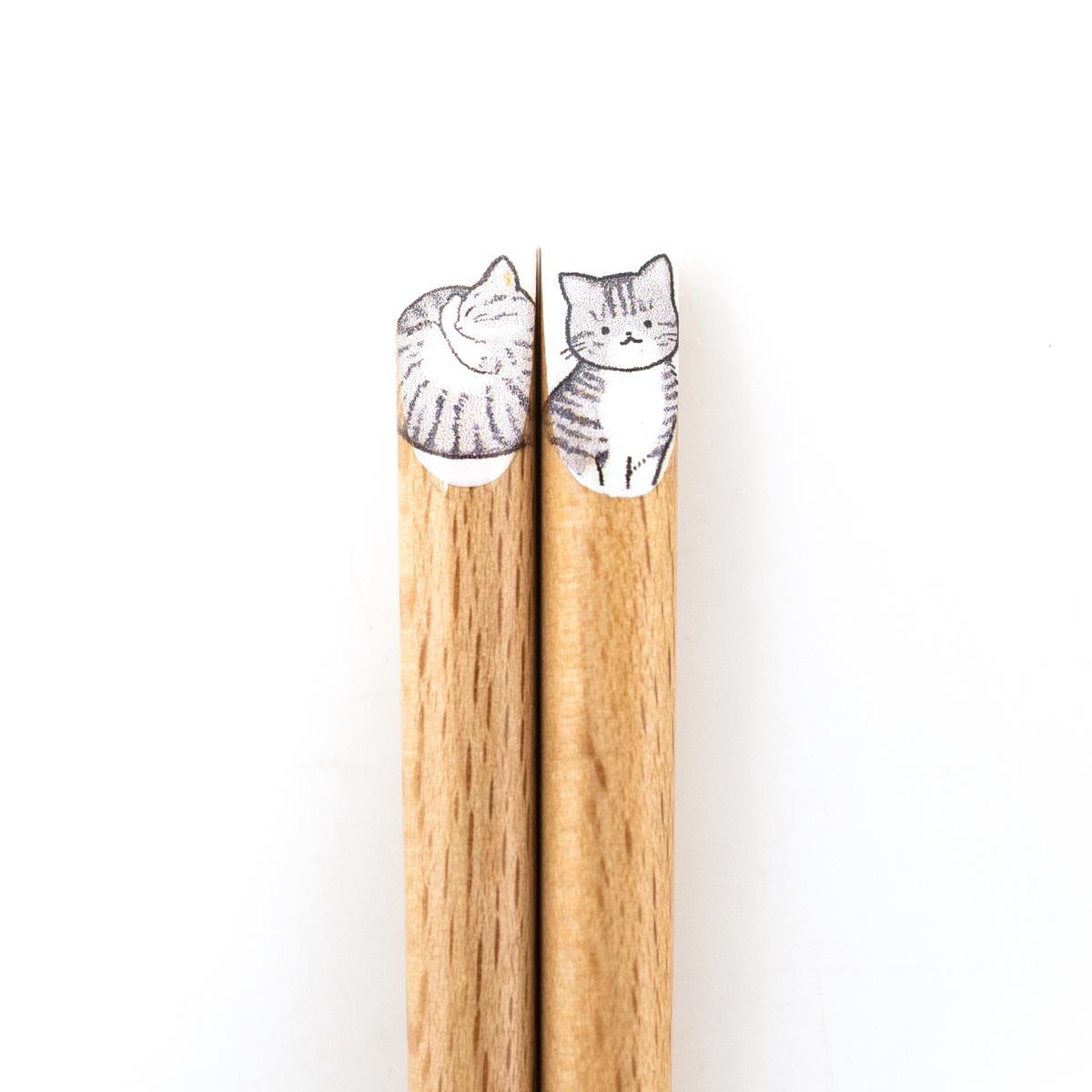 general cat chopsticks tabby closeup