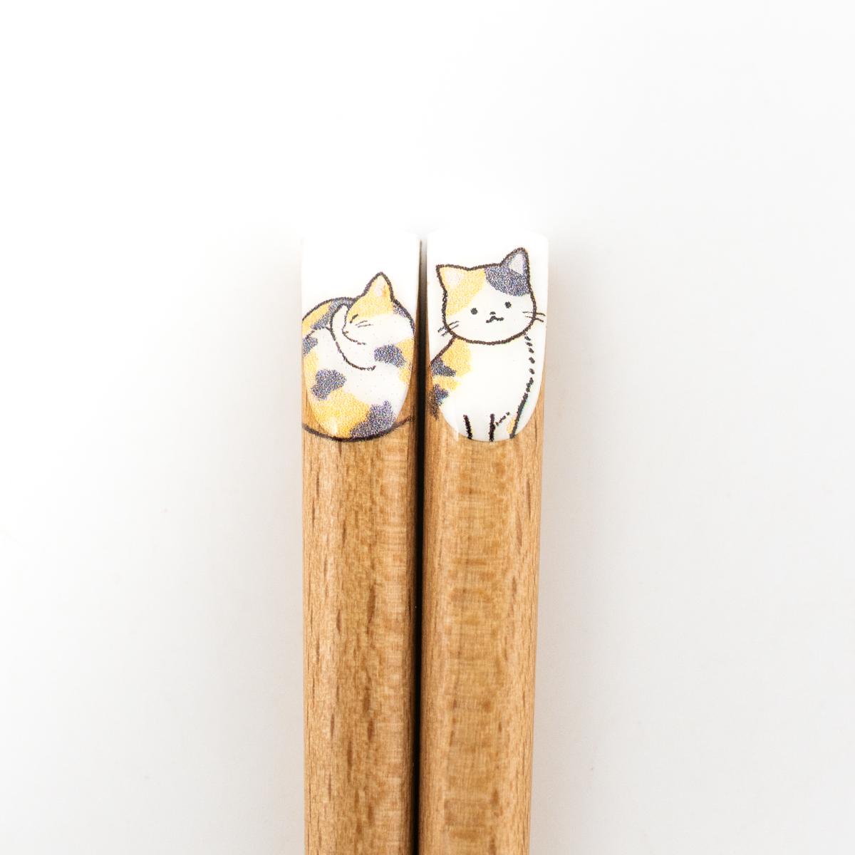 general cat chopsticks tortie and white closeup