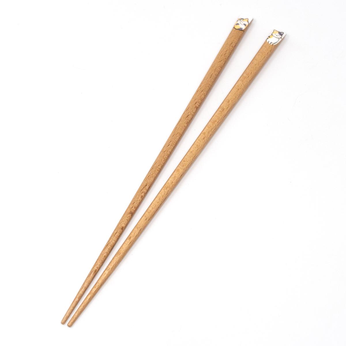 general cat chopsticks tortie and white