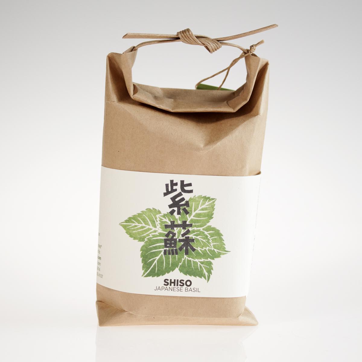 shiso seeds