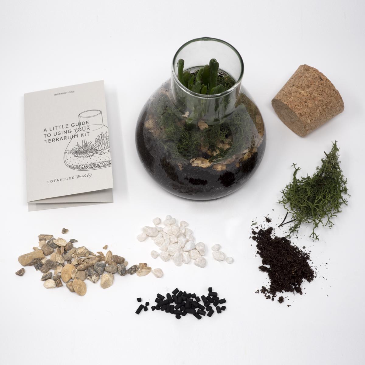 terrarium kit open spread