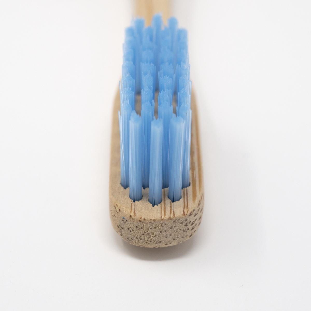 blue bamboo toothbrush head
