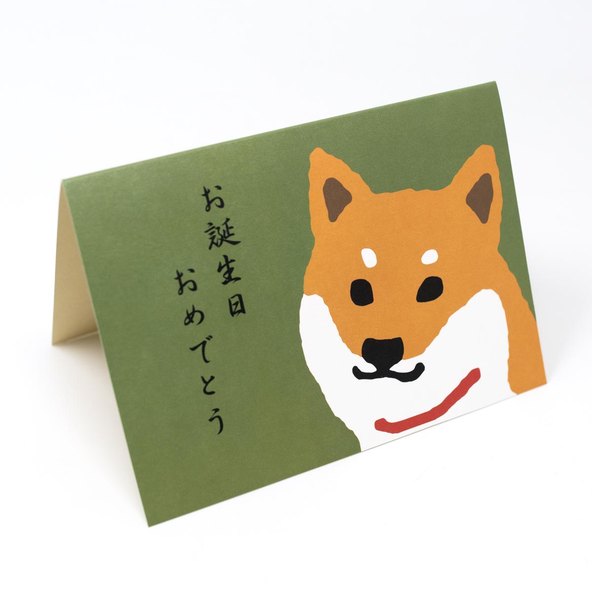 active corporation dog happy birthday